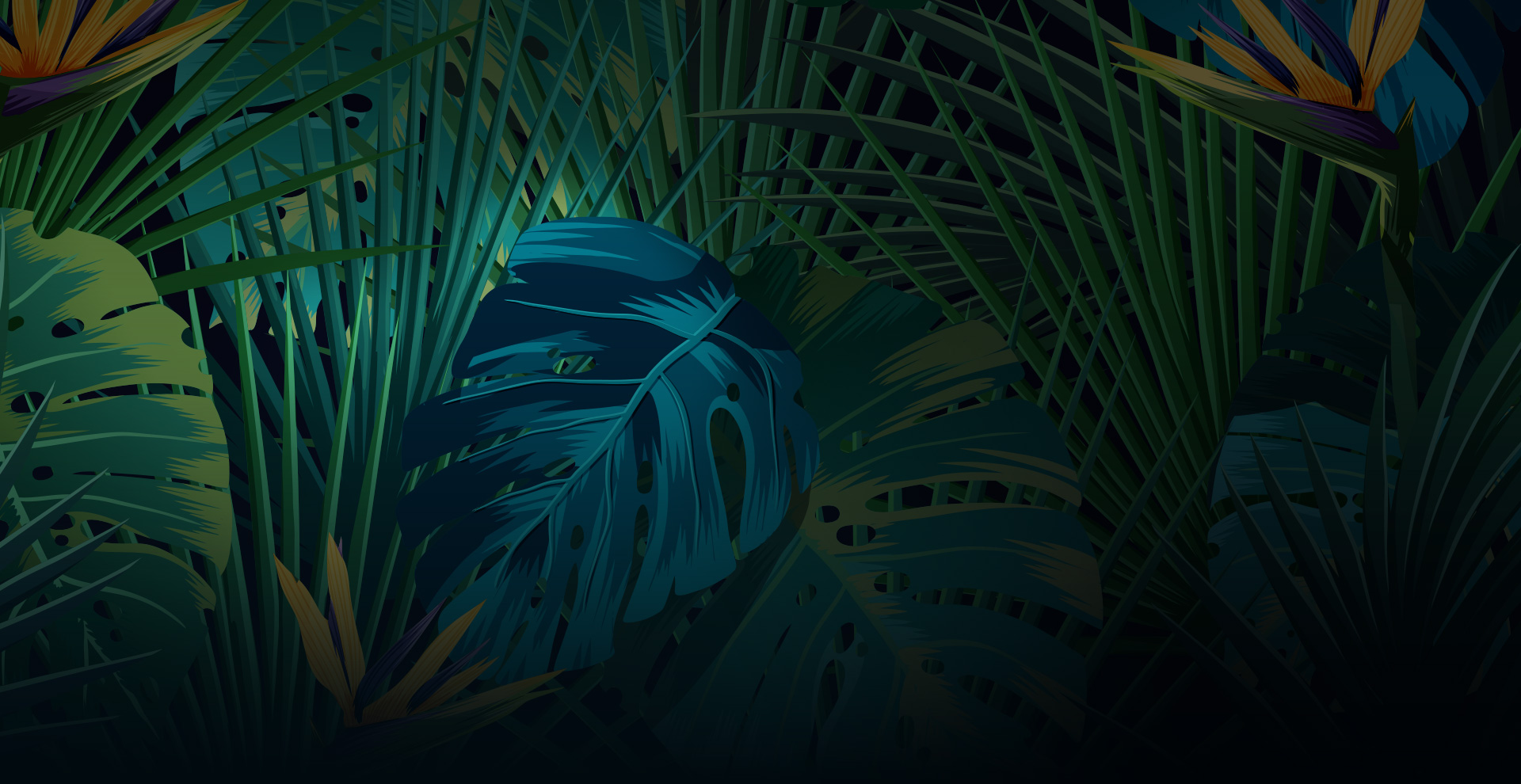 BG_home2