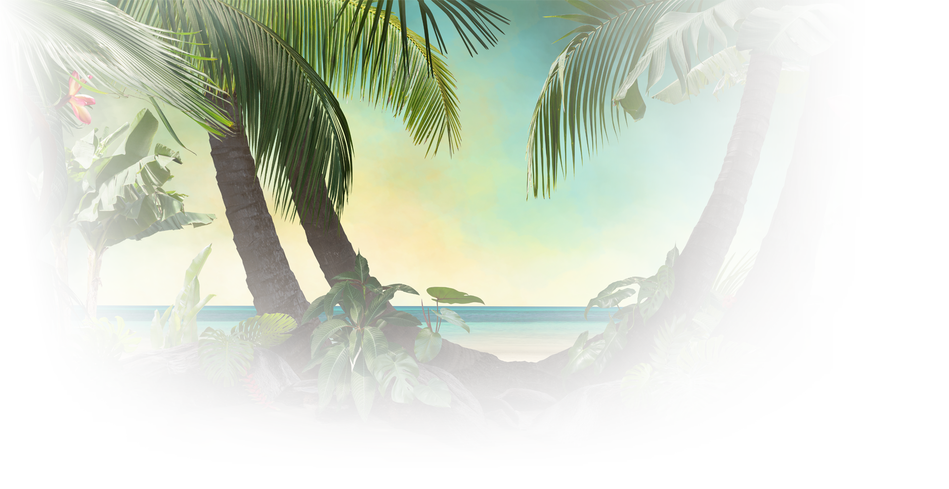 Strand mit Palmen und Meer im Hintergrund